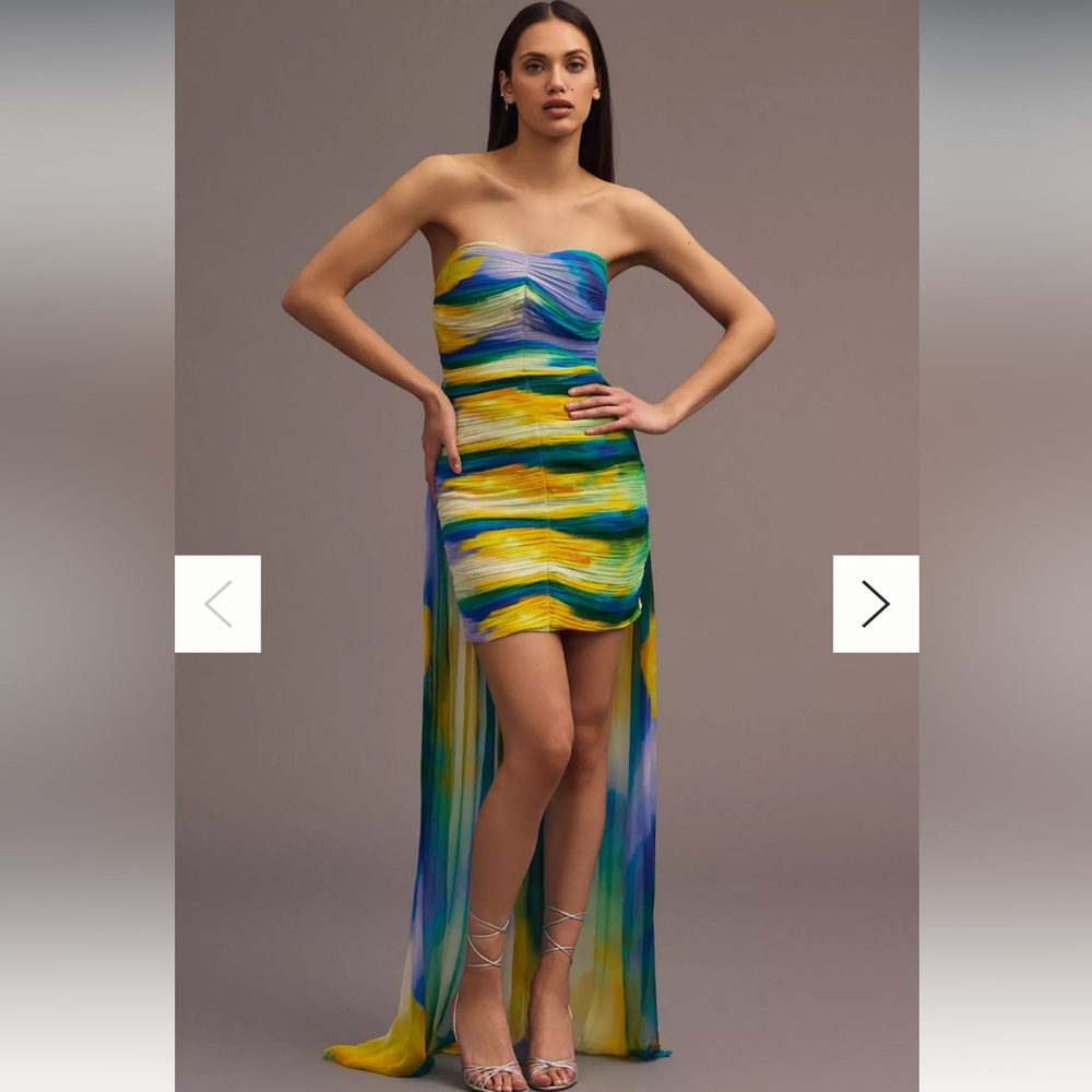 Blurred Sheer Mini Train Dress